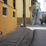 Photo 13: Humans of Cuba by Krystal Du
