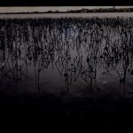 Photo: Reflections by Stuart Deets