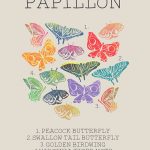 Infographic: Papillon by Hattie Grimm