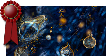 Cropped Image of Bring Fractal to Figurative Art 1 by Wanyi Chen with a red ribbon to indicate an honorable mention award
