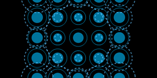 Screenshot from Game: Evolutionary Network Games by Wanyi Chen