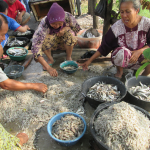Faces of Rural Indonesian Workers 2 - a digital photograph by Carlie Renee Cervantes De Blois