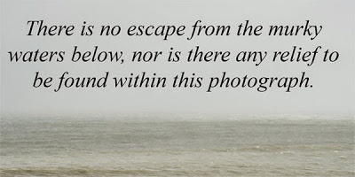 Oceanscapes Thumbnail Image