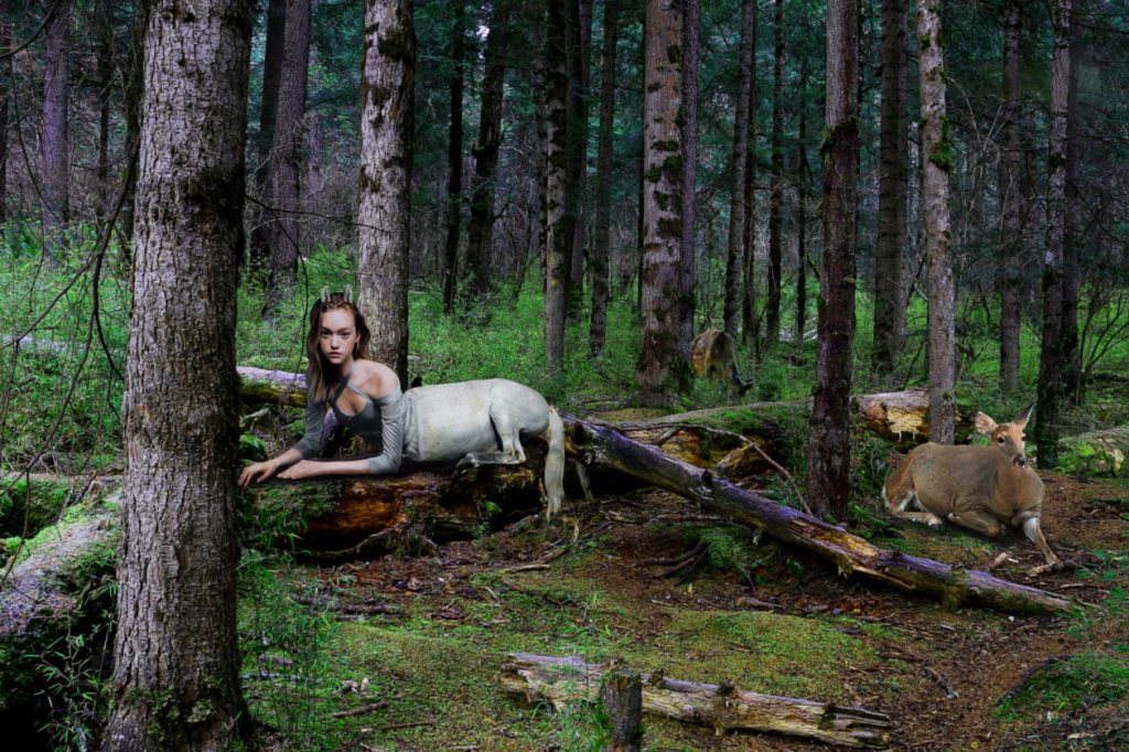 The Object and the Event - a digital collage by Yiram Liu