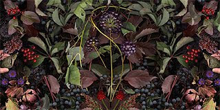 Nature of Pattern Thumbnail Image