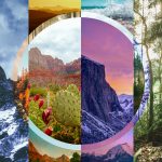 “The World in Pieces” by Tyler Vergin