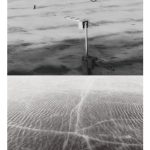 Photograph: Ephemeral Beings, 2025 from The Spaces Between Earth and Us II by Vivian Ye