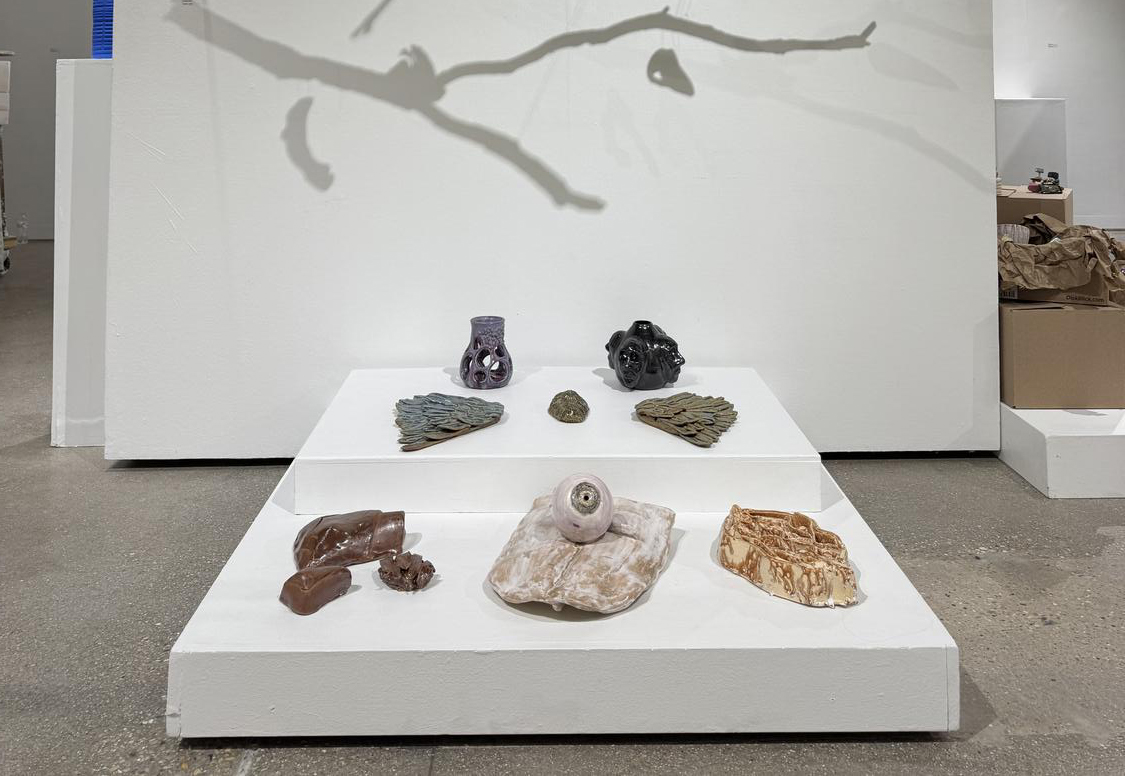Photograph from Website: Inside/Outside by Vivian Ye