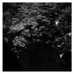 Photograph: Stygian, 2025 from The Spaces Between Earth and Us II by Vivian Ye
